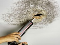 Mold Damage